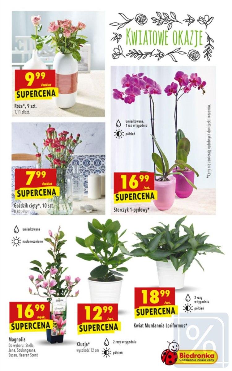 Gazetka promocyjna Biedronka do 26/08/2018 str.43