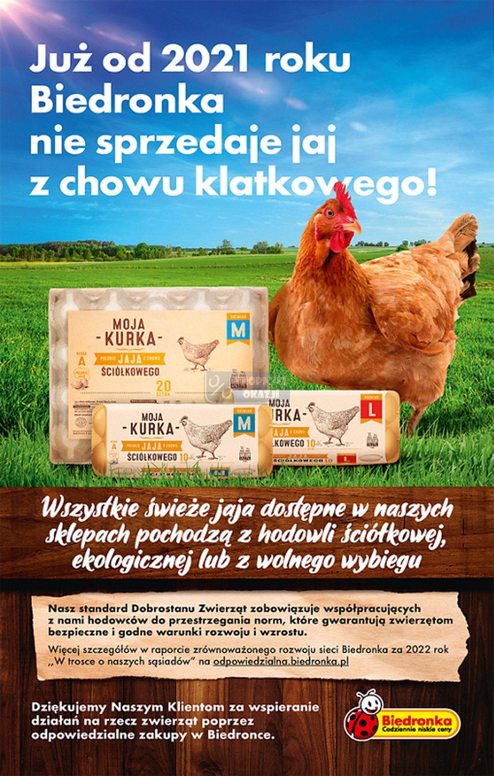 Gazetka promocyjna Biedronka do 11/10/2023 str.31