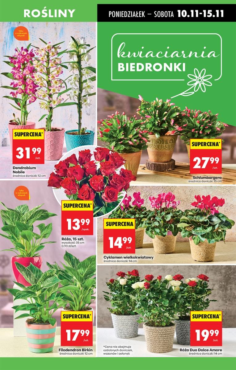 Gazetka promocyjna Biedronka do 15/11/2025 str.19
