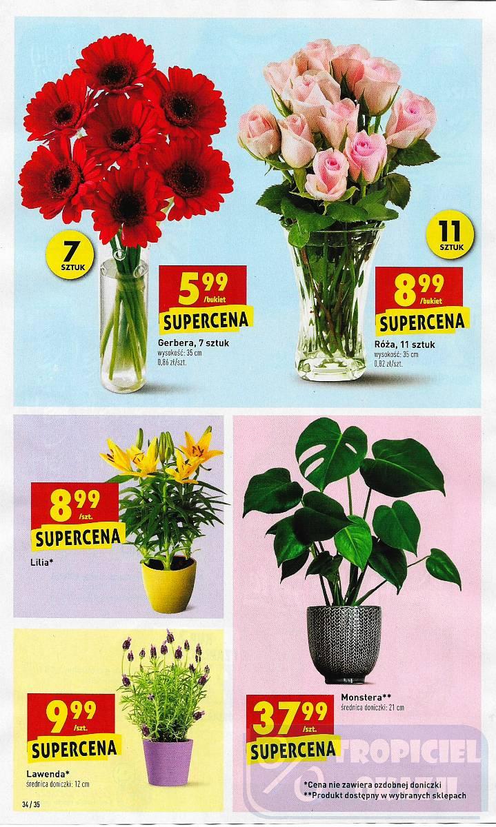 Gazetka promocyjna Biedronka do 11/07/2018 str.34