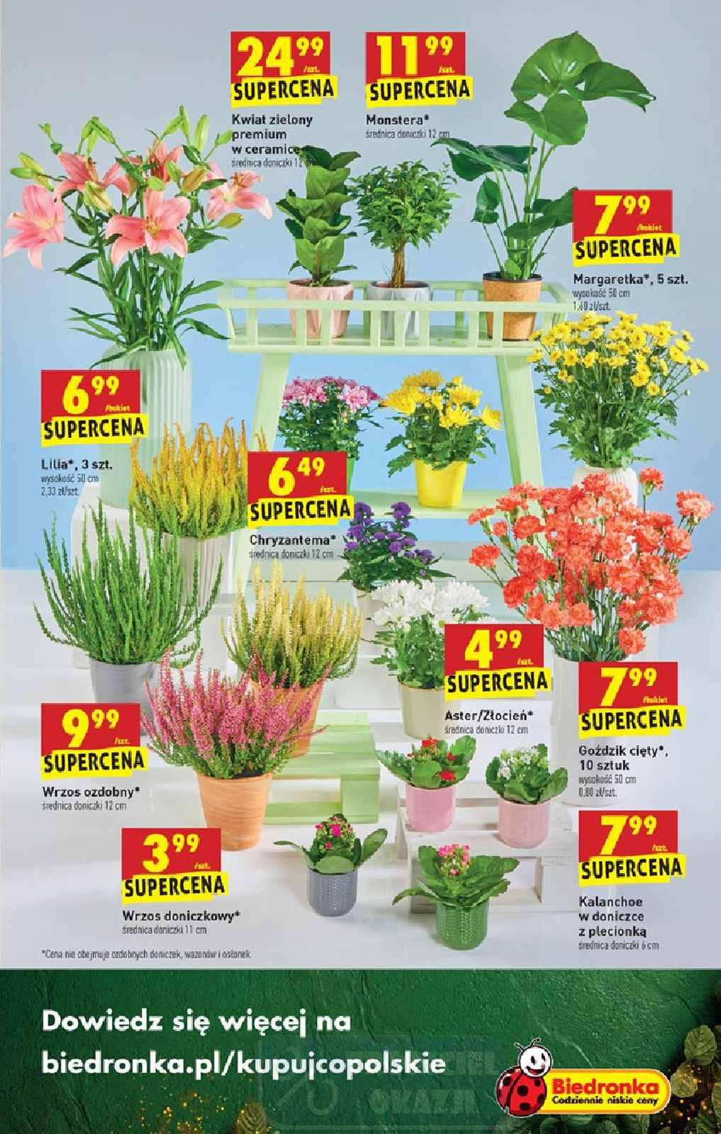 Gazetka promocyjna Biedronka do 12/09/2020 str.55