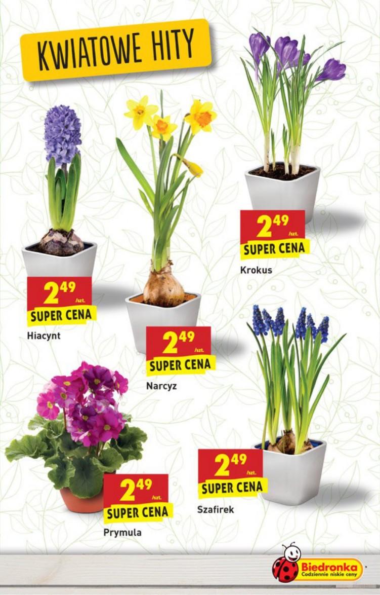 Gazetka promocyjna Biedronka do 29/01/2017 str.27