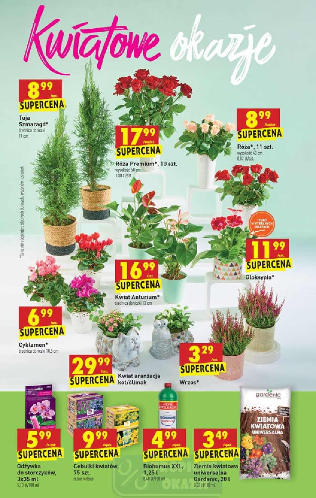 Gazetka promocyjna Biedronka do 02/09/2020 str.55