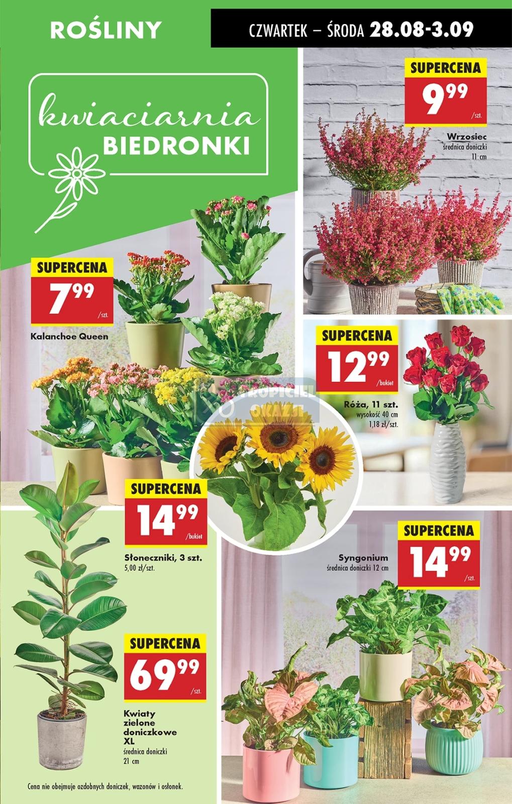 Gazetka promocyjna Biedronka do 03/09/2025 str.25
