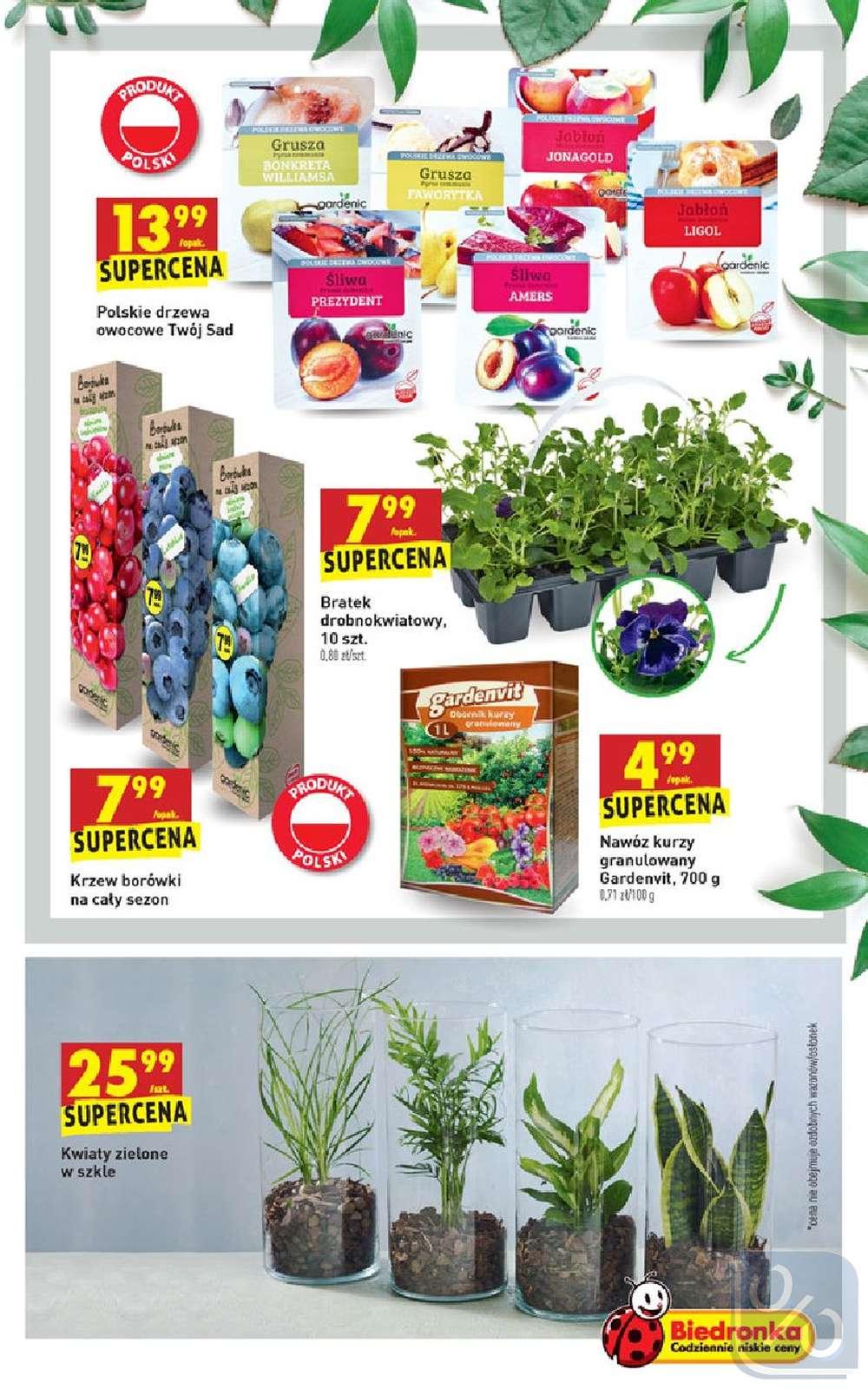 Gazetka promocyjna Biedronka do 03/04/2019 str.55