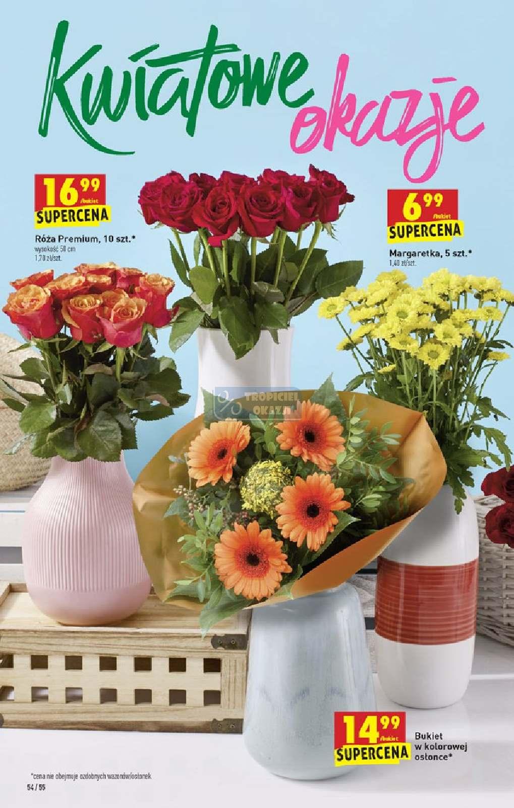 Gazetka promocyjna Biedronka do 26/06/2019 str.54