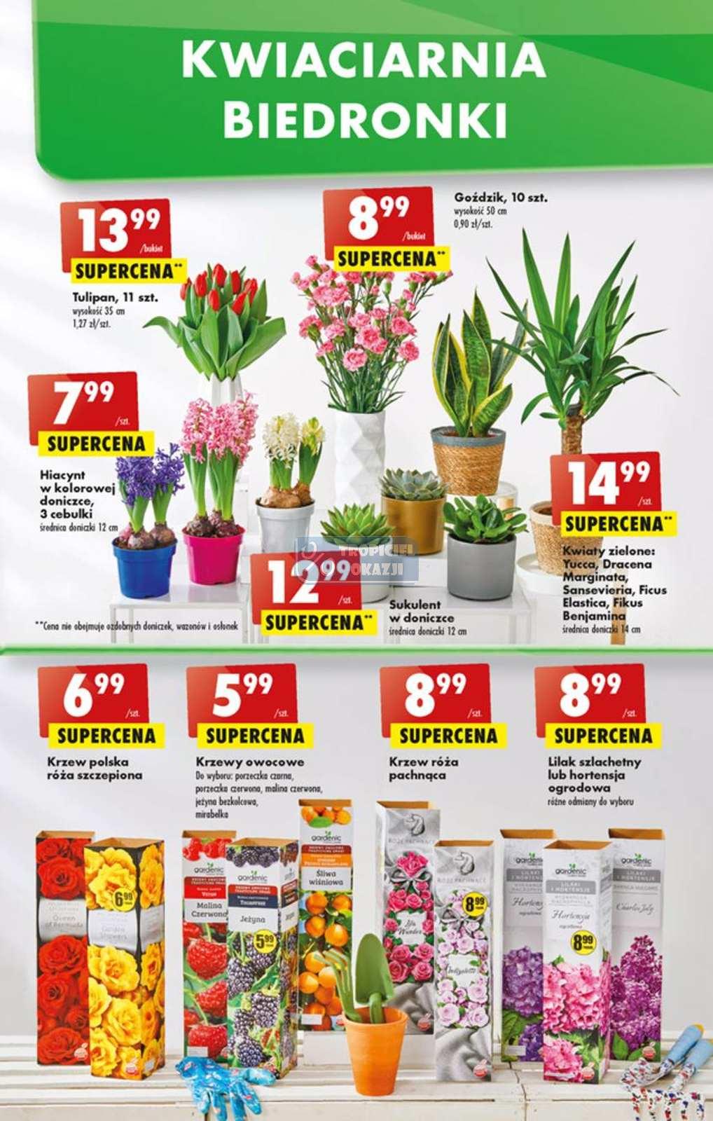 Gazetka promocyjna Biedronka do 19/03/2022 str.61