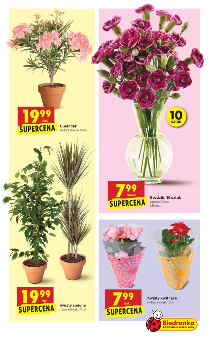 Gazetka promocyjna Biedronka do 23/06/2018 str.45