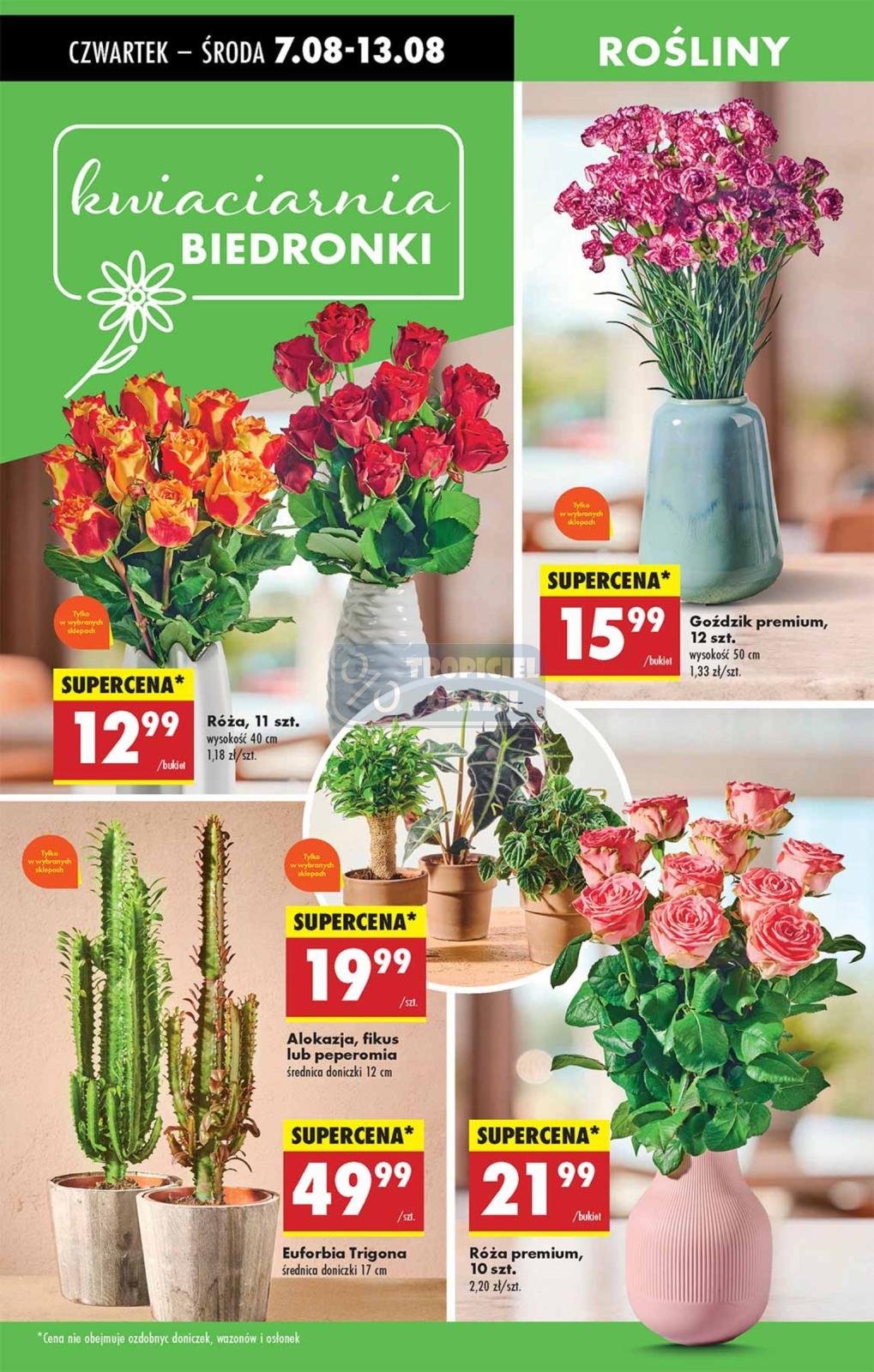 Gazetka promocyjna Biedronka do 13/08/2025 str.56