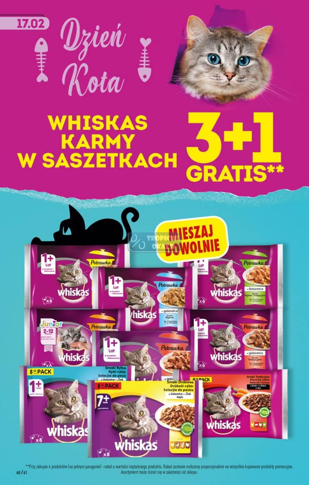 Gazetka promocyjna Biedronka do 19/02/2022 str.59