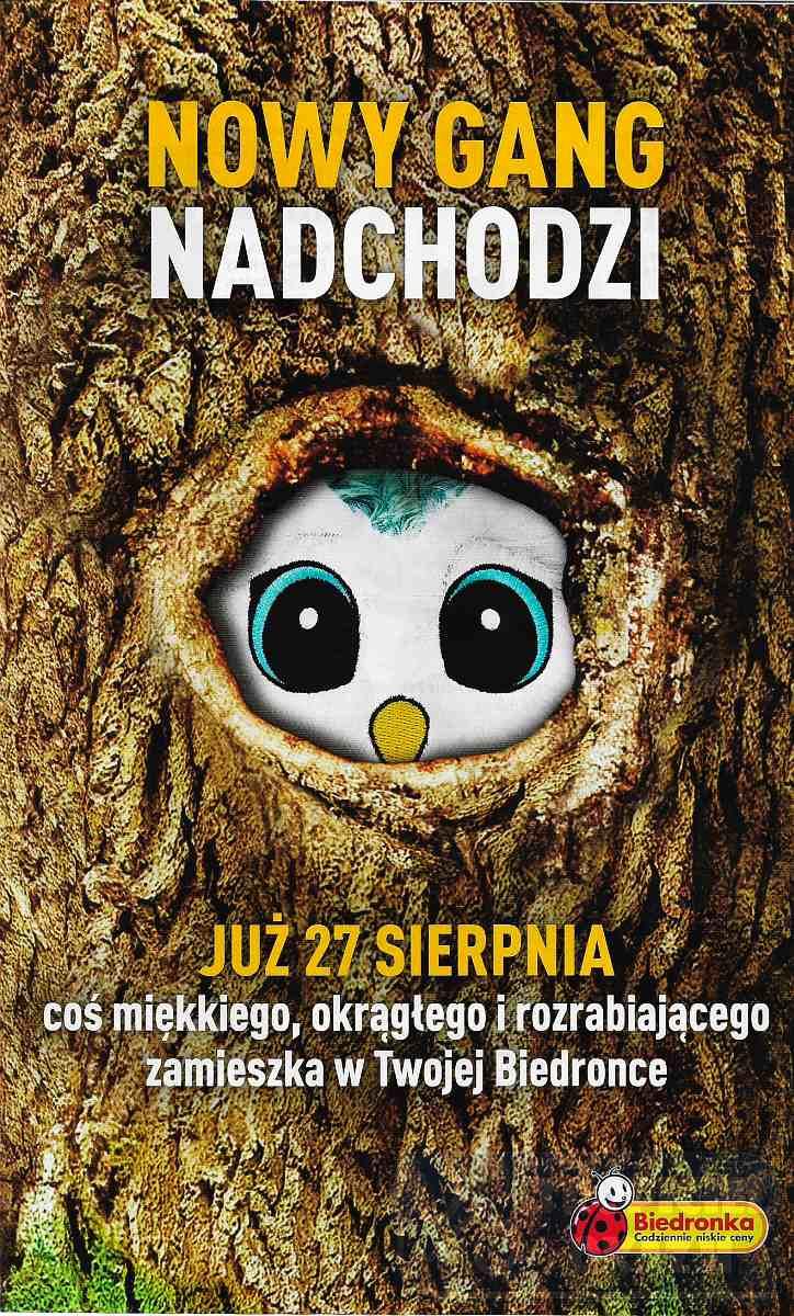 Gazetka promocyjna Biedronka do 28/08/2018 str.40
