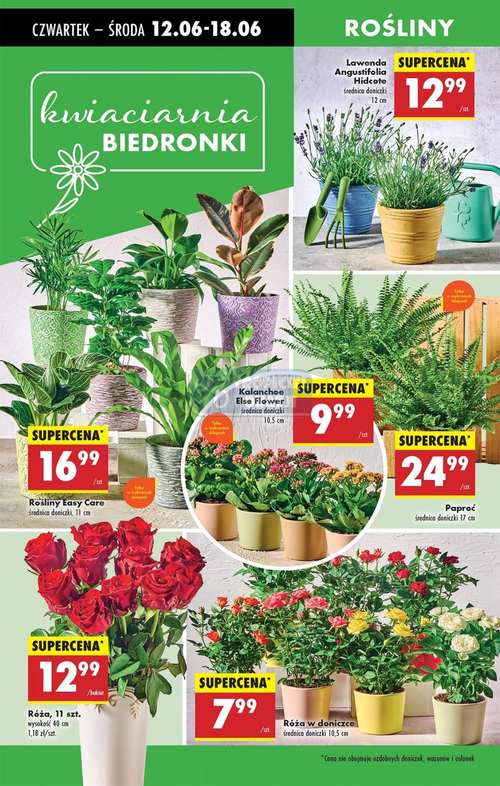 Gazetka promocyjna Biedronka do 18/06/2025 str.52