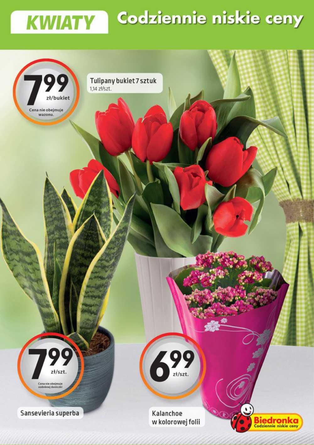 Gazetka promocyjna Biedronka do 03/02/2016 str.17