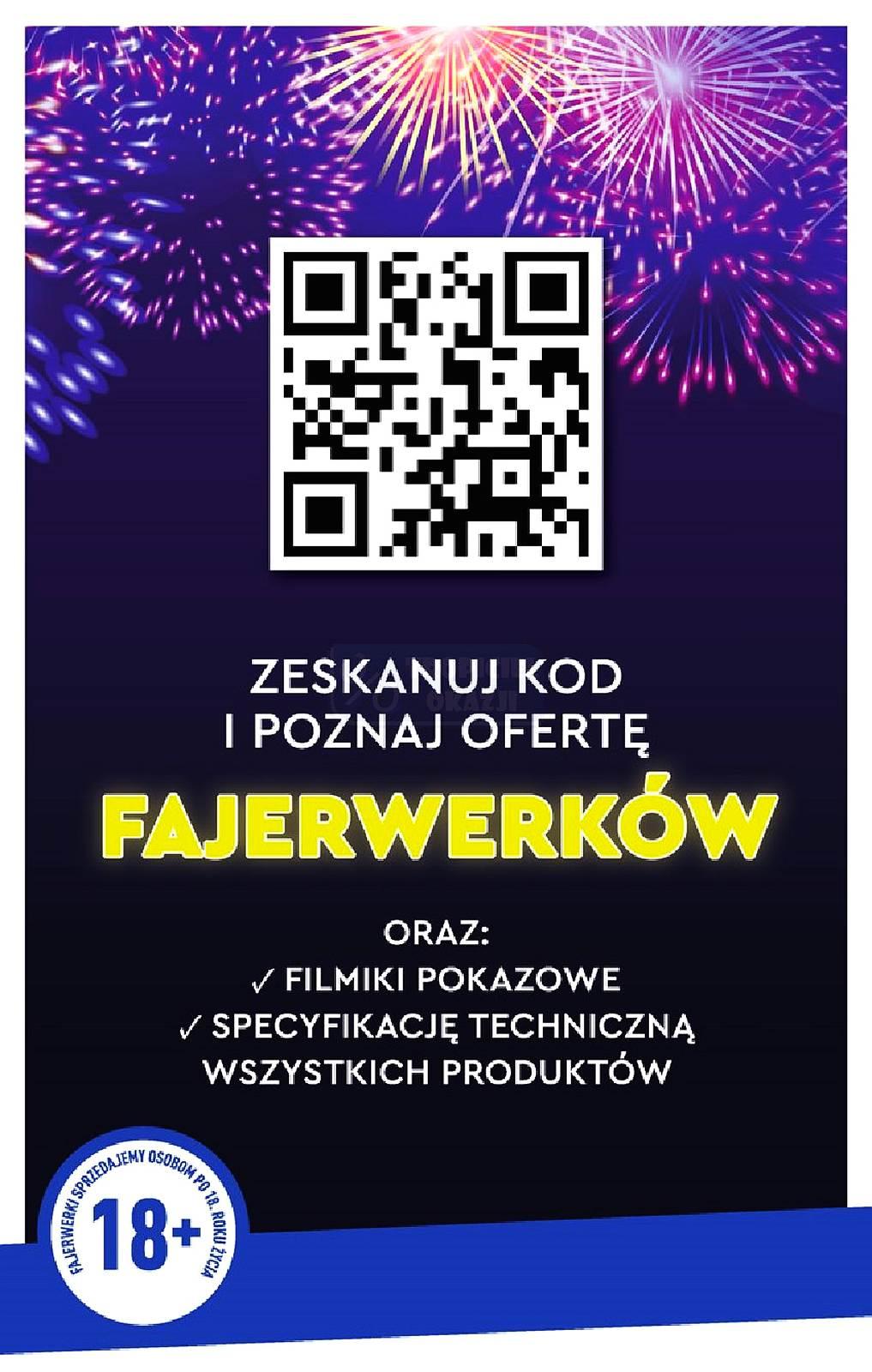 Gazetka promocyjna Biedronka do 05/01/2022 str.22