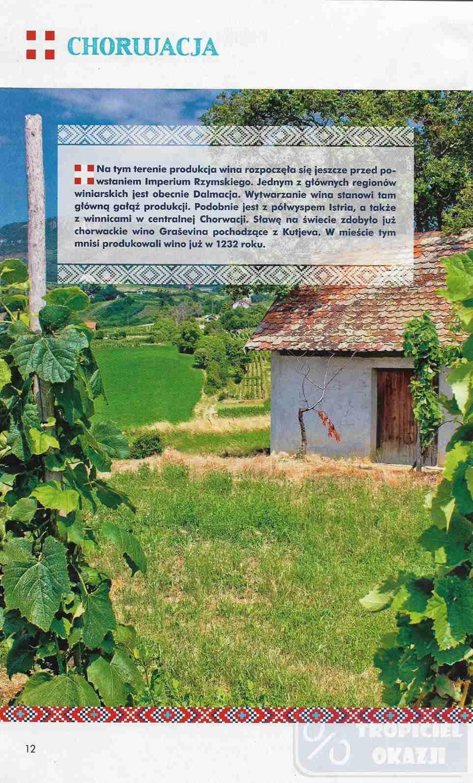 Gazetka promocyjna Biedronka do 12/07/2017 str.12