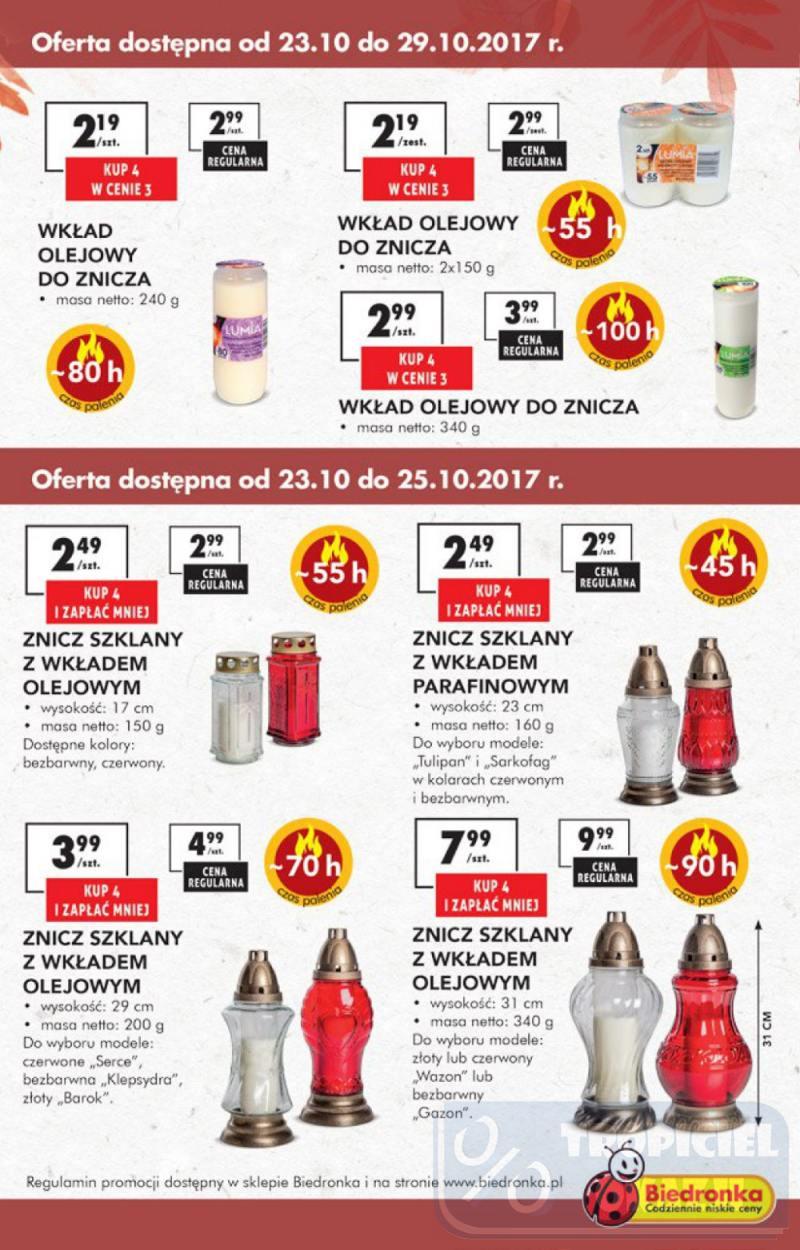 Gazetka promocyjna Biedronka do 29/10/2017 str.41