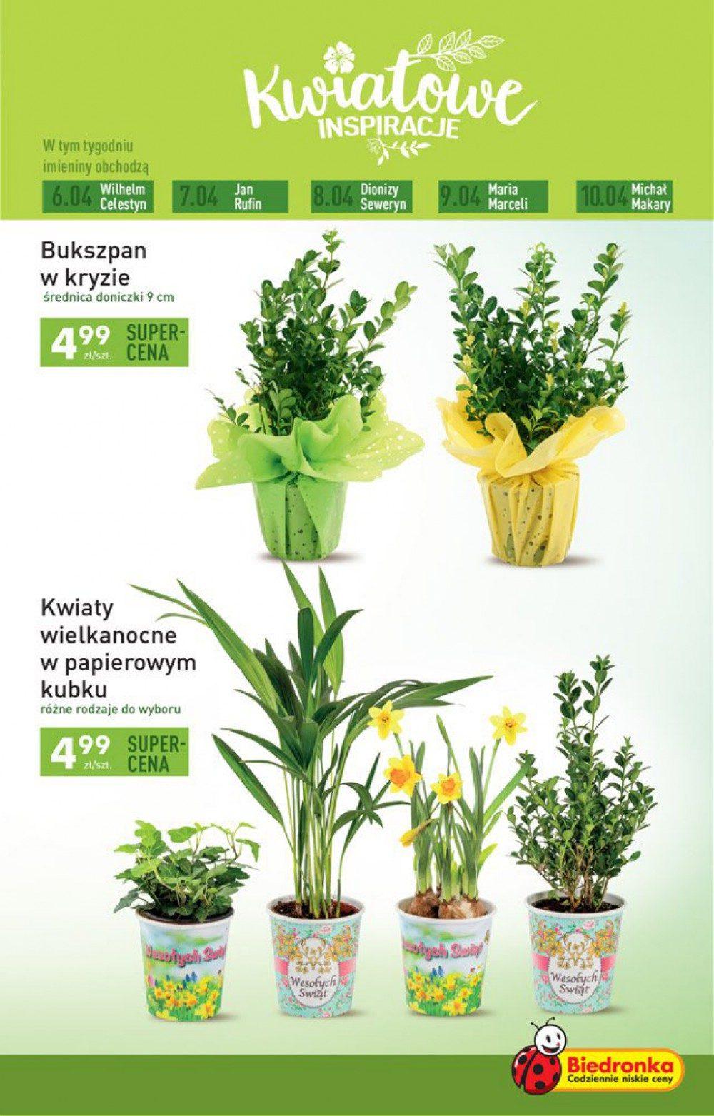 Gazetka promocyjna Biedronka do 12/04/2017 str.5