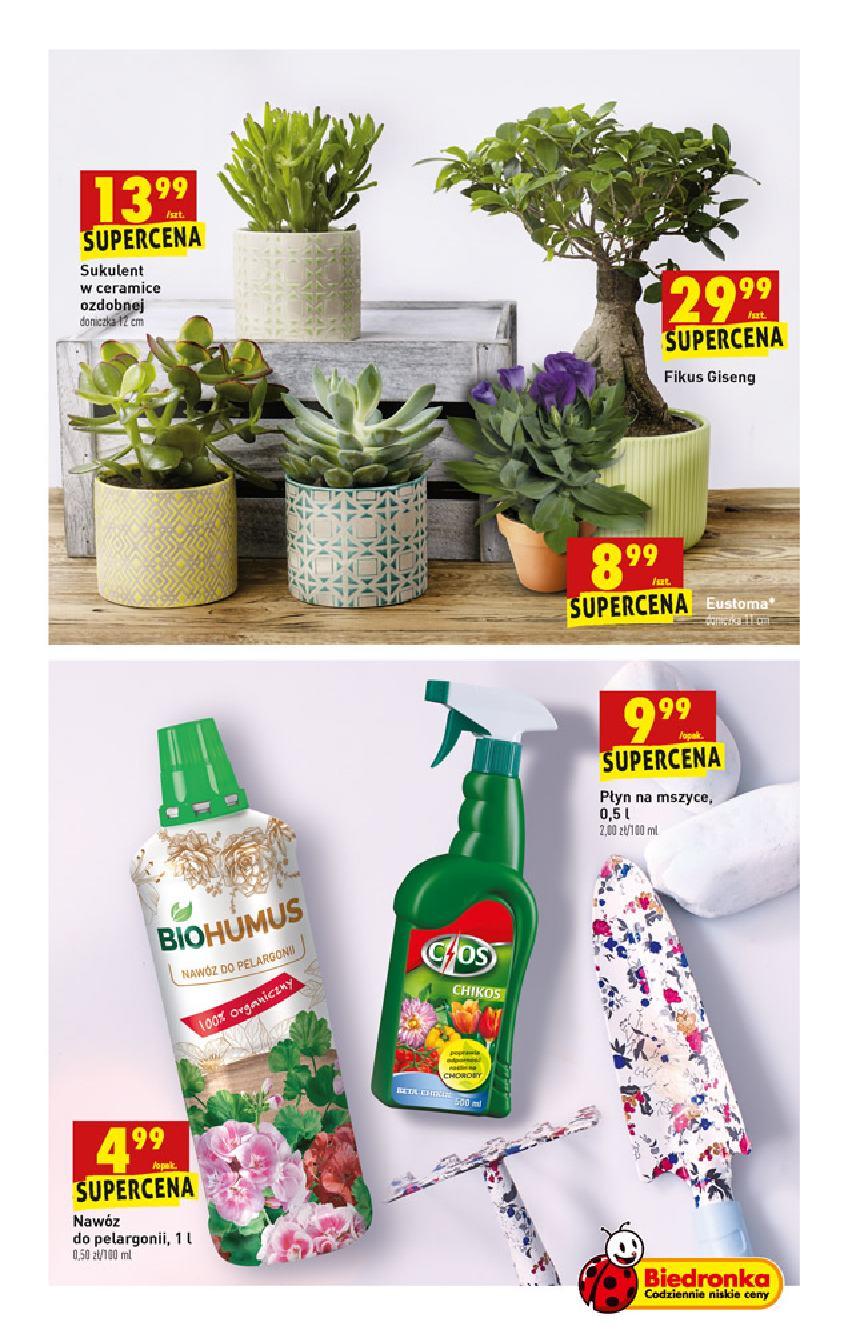 Gazetka promocyjna Biedronka do 19/06/2019 str.71