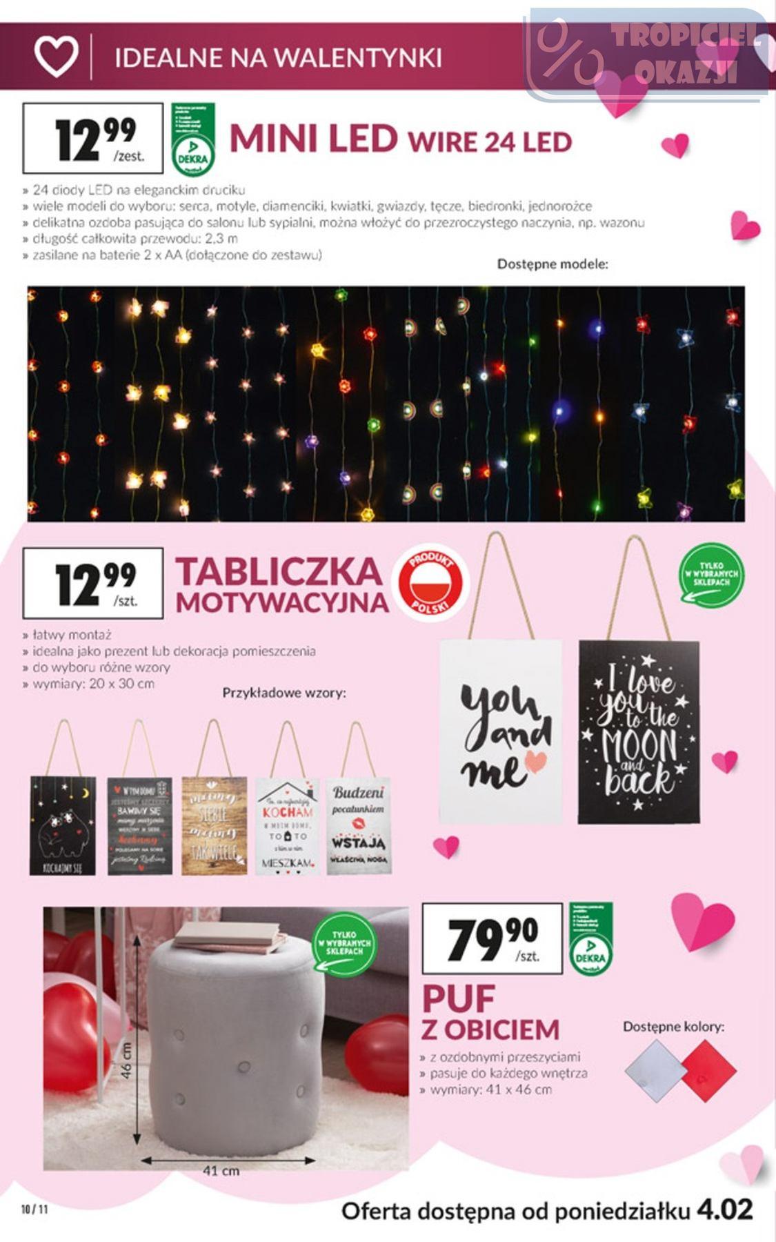 Gazetka promocyjna Biedronka do 20/02/2019 str.10