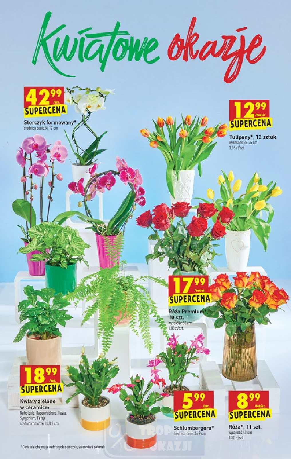 Gazetka promocyjna Biedronka do 18/11/2020 str.64