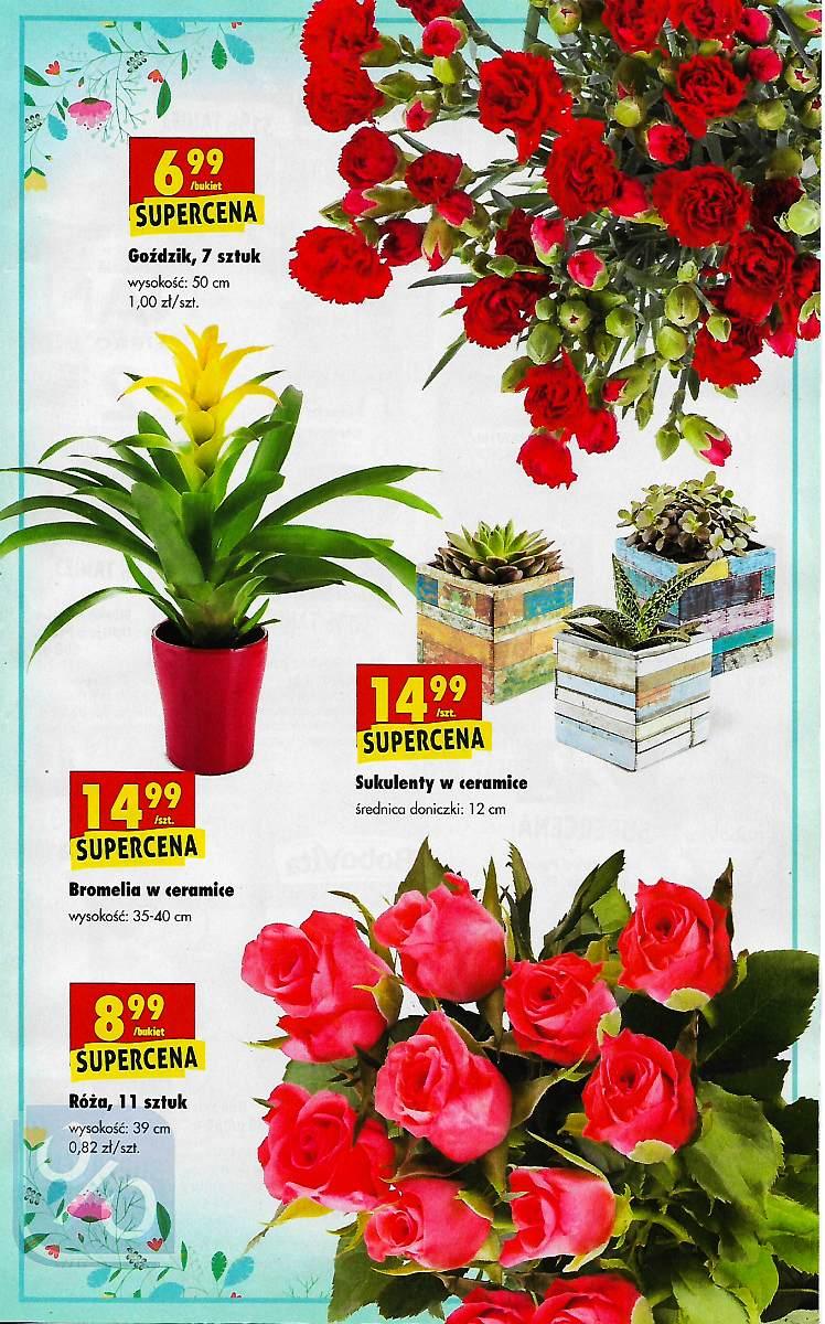 Gazetka promocyjna Biedronka do 04/03/2018 str.39