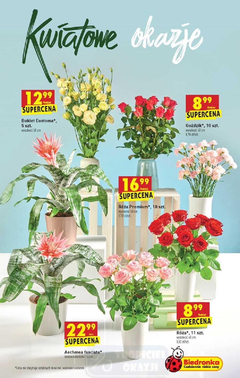 Gazetka promocyjna Biedronka do 29/07/2020 str.47