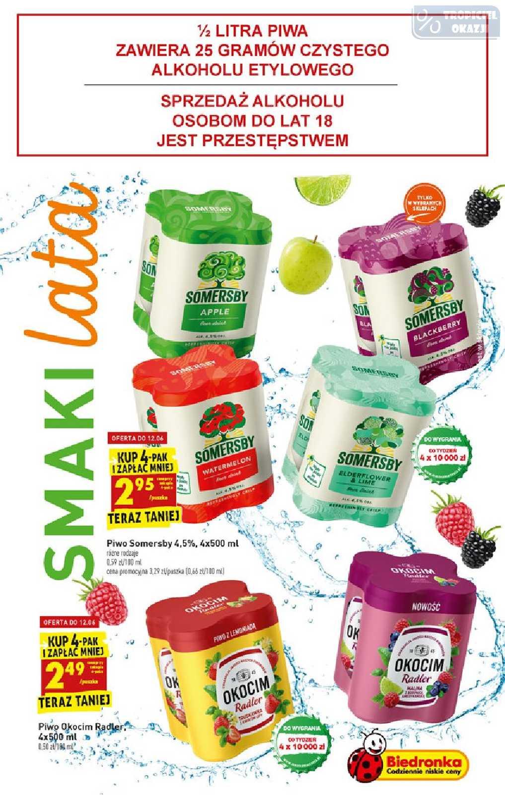 Gazetka promocyjna Biedronka do 15/06/2019 str.49