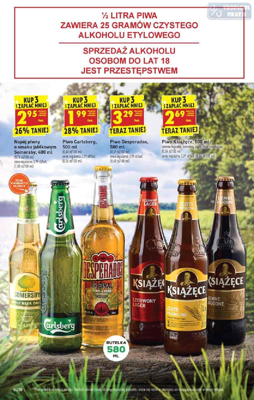 Gazetka promocyjna Biedronka do 22/06/2019 str.54
