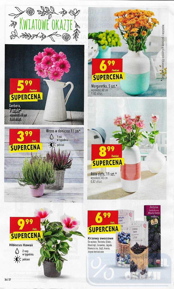 Gazetka promocyjna Biedronka do 28/08/2018 str.36