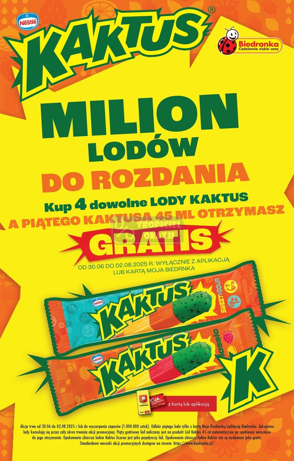 Gazetka promocyjna Biedronka do 12/07/2025 str.43