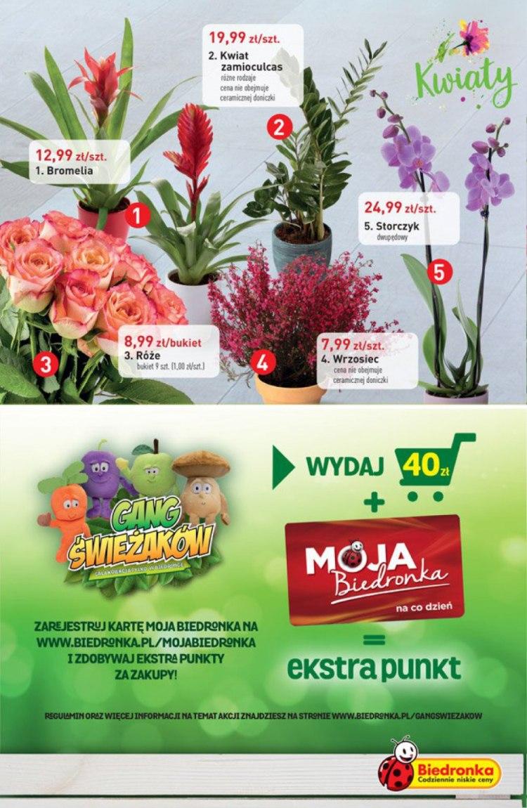 Gazetka promocyjna Biedronka do 21/09/2016 str.23
