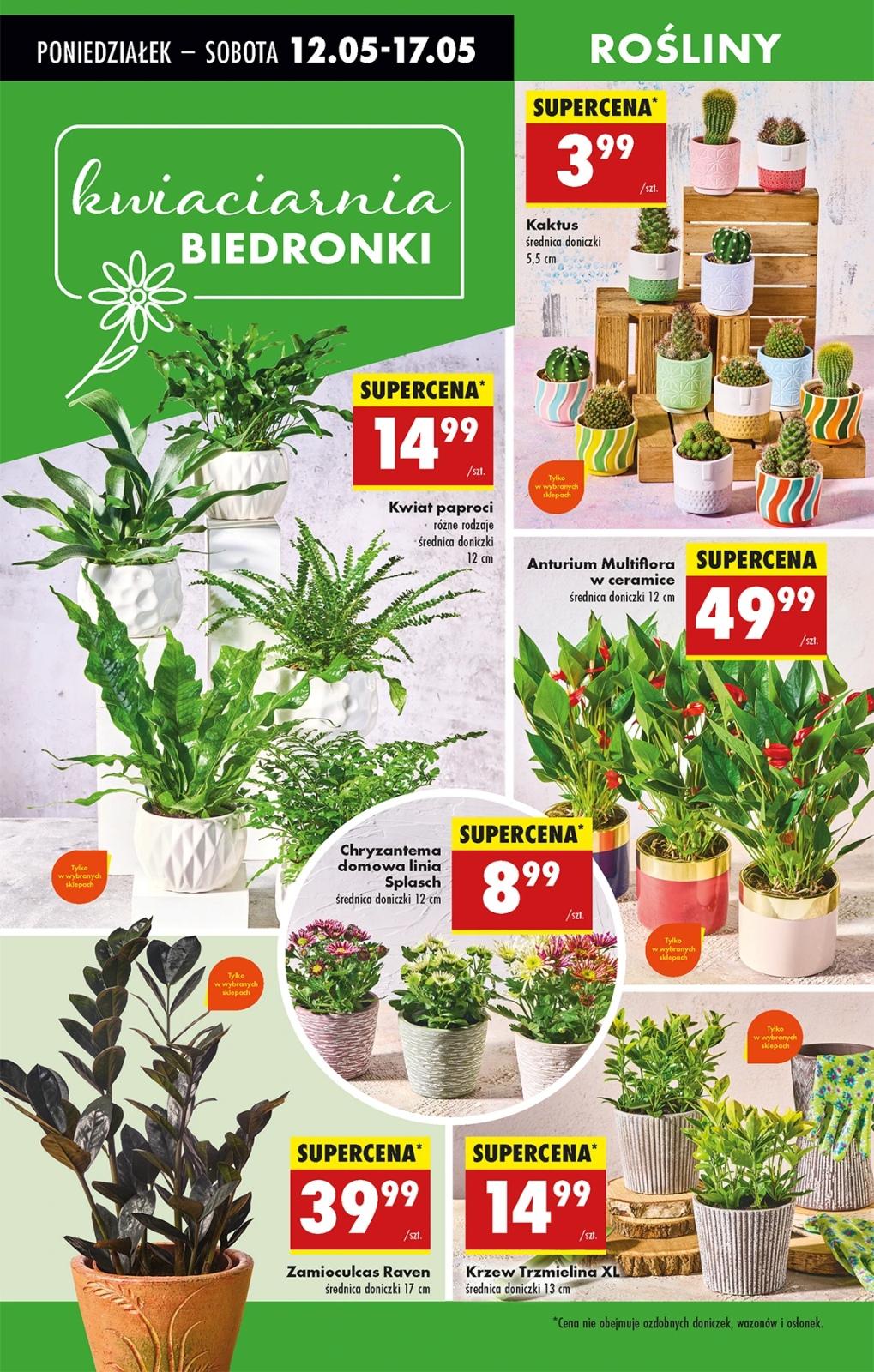 Gazetka promocyjna Biedronka do 21/05/2025 str.17