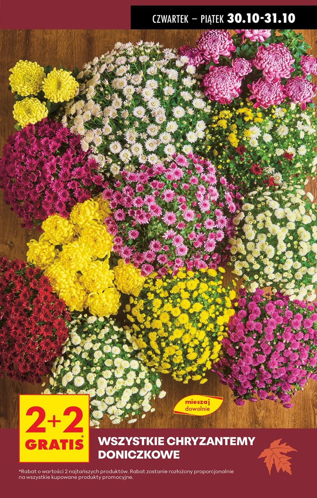 Gazetka promocyjna Biedronka do 31/10/2025 str.3