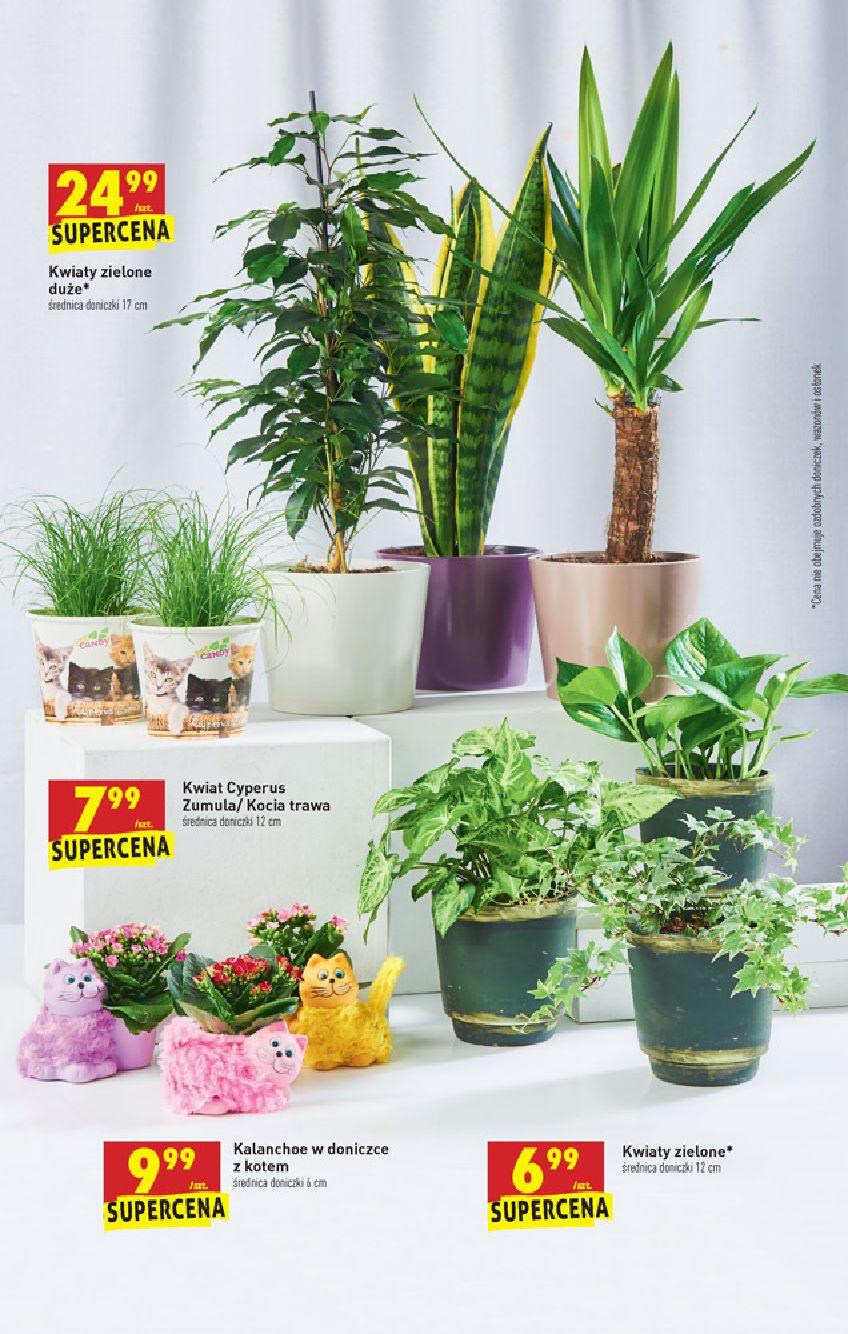 Gazetka promocyjna Biedronka do 26/02/2020 str.55