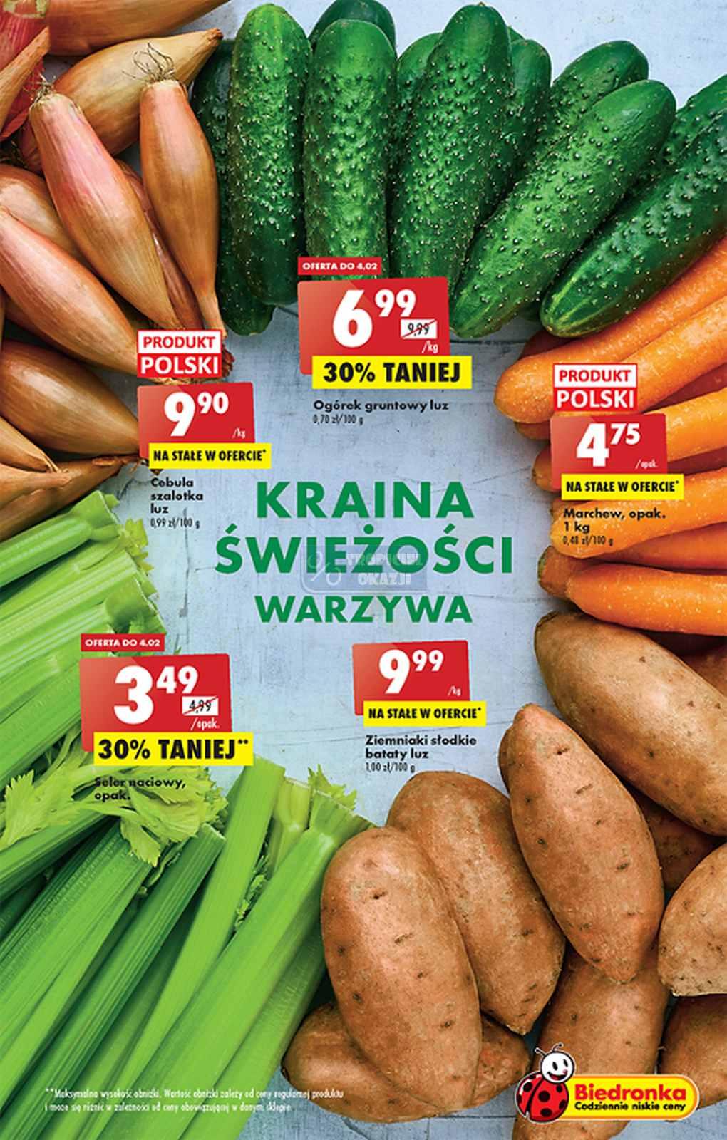 Gazetka promocyjna Biedronka do 08/02/2023 str.17