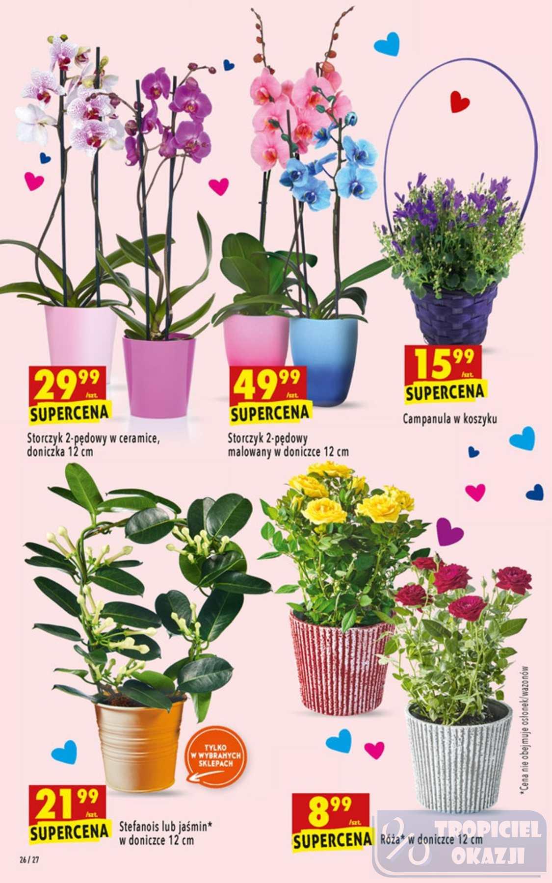 Gazetka promocyjna Biedronka do 23/01/2019 str.26