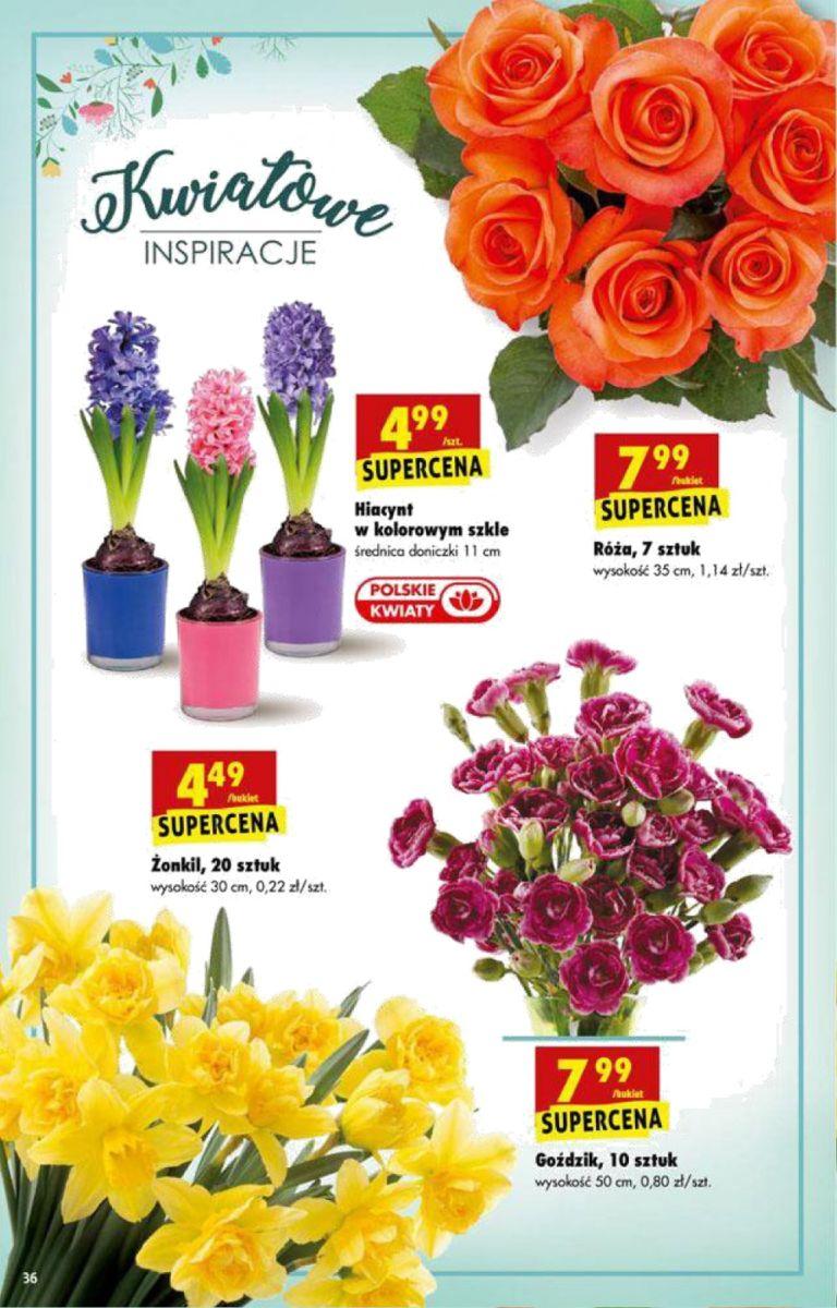 Gazetka promocyjna Biedronka do 25/02/2018 str.36