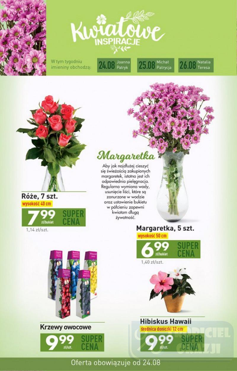 Gazetka promocyjna Biedronka do 30/08/2017 str.29