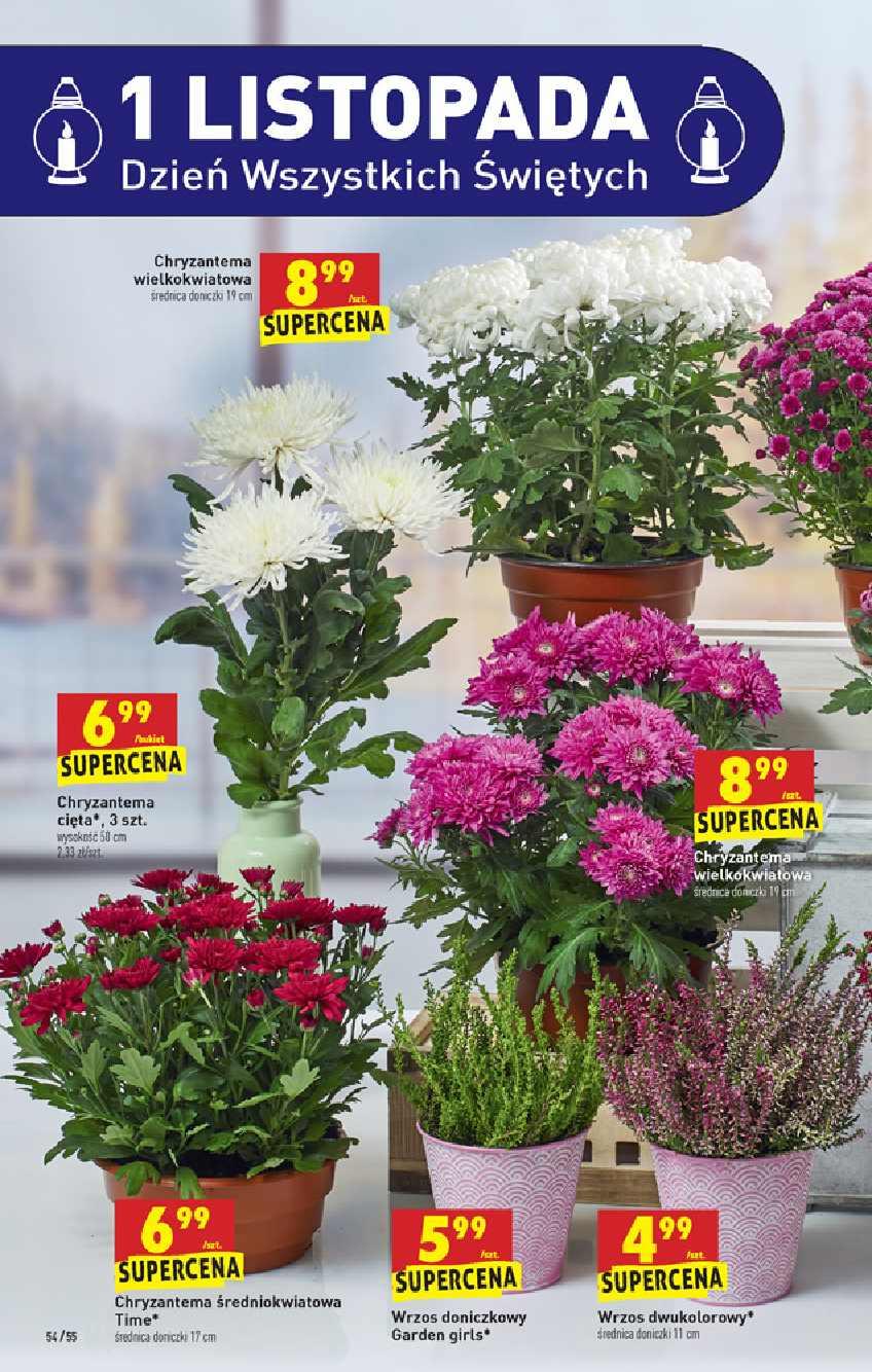 Gazetka promocyjna Biedronka do 02/11/2019 str.54