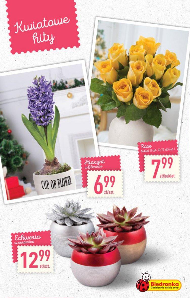 Gazetka promocyjna Biedronka do 31/12/2016 str.48