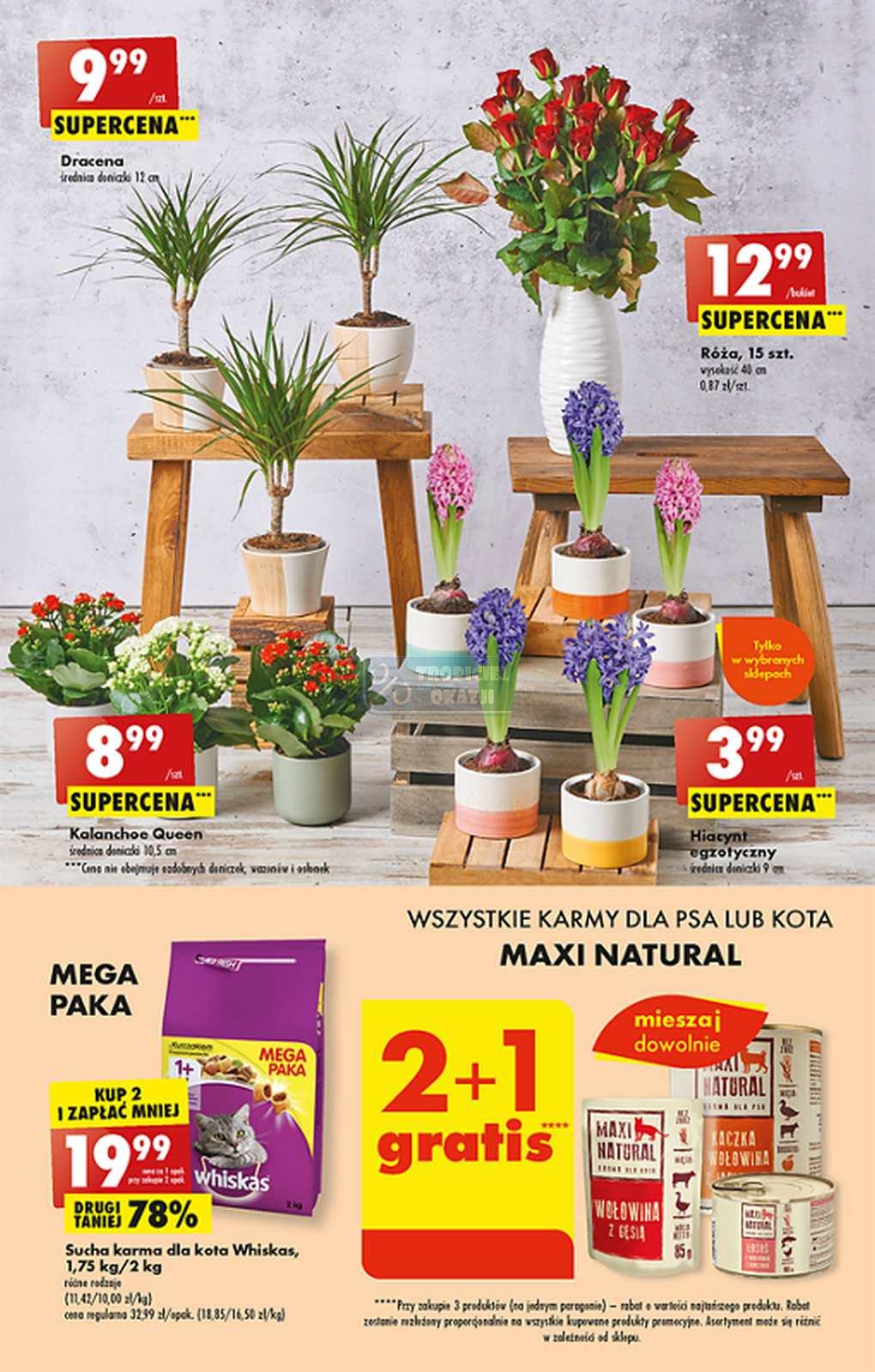 Gazetka promocyjna Biedronka do 07/01/2023 str.47
