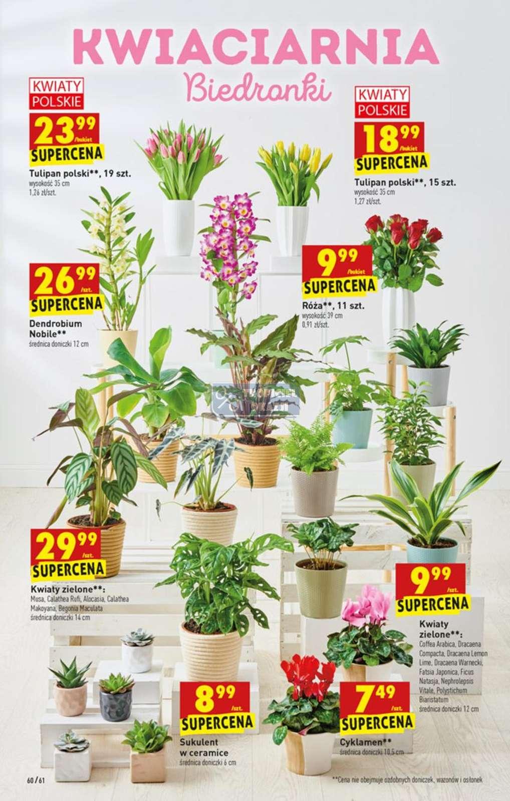 Gazetka promocyjna Biedronka do 09/02/2022 str.60