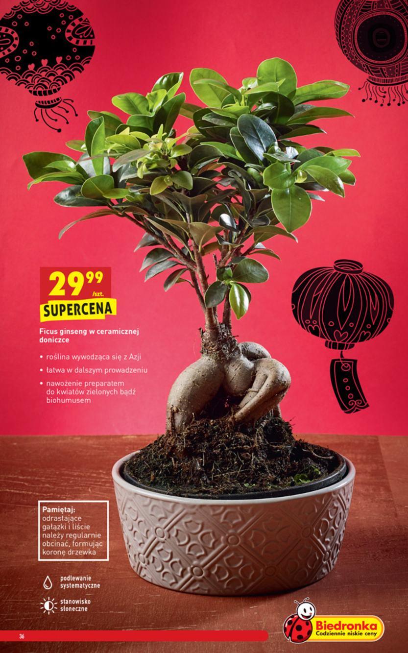 Gazetka promocyjna Biedronka do 13/10/2018 str.36