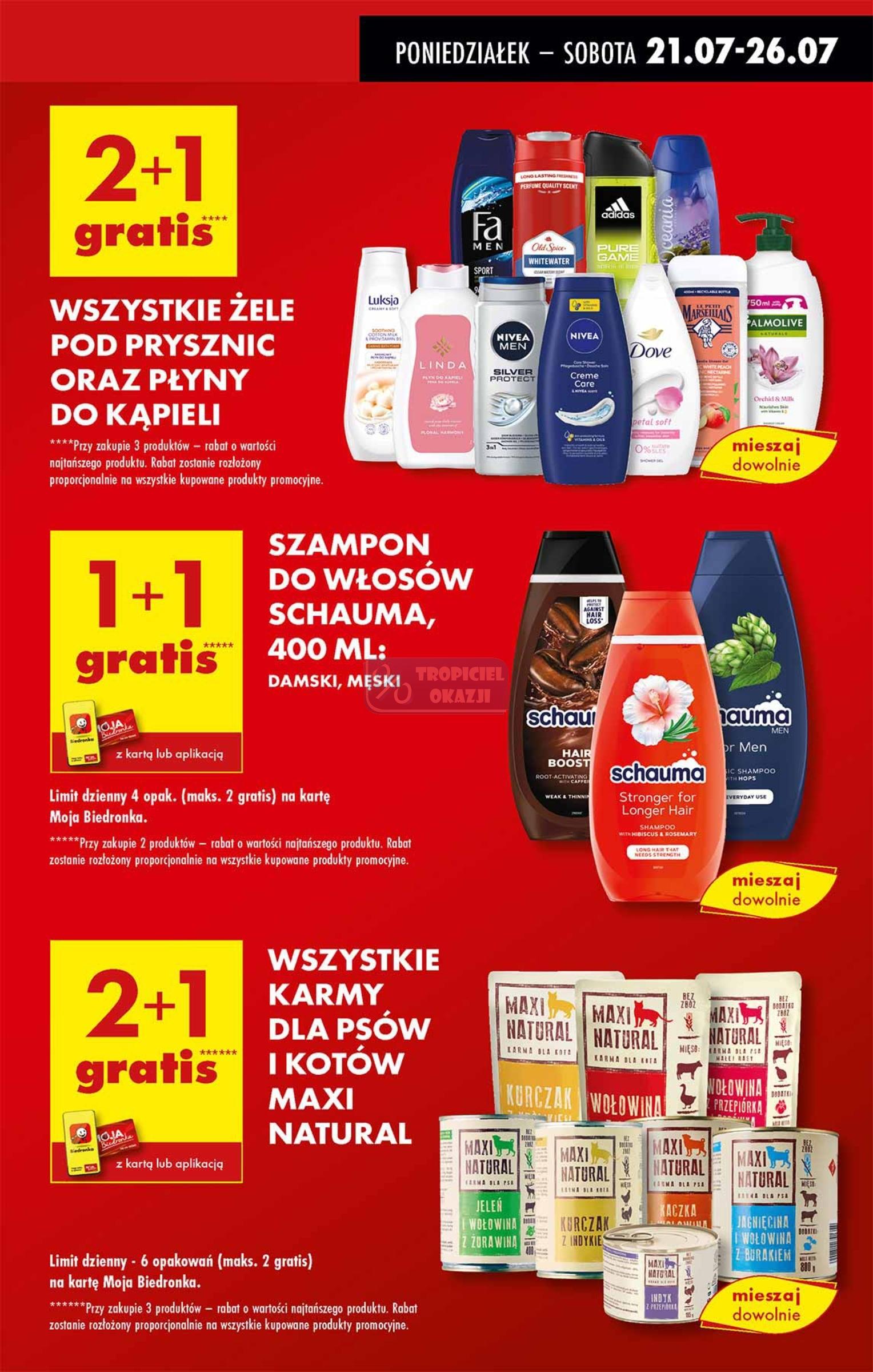 Gazetka promocyjna Biedronka do 26/07/2025 str.13