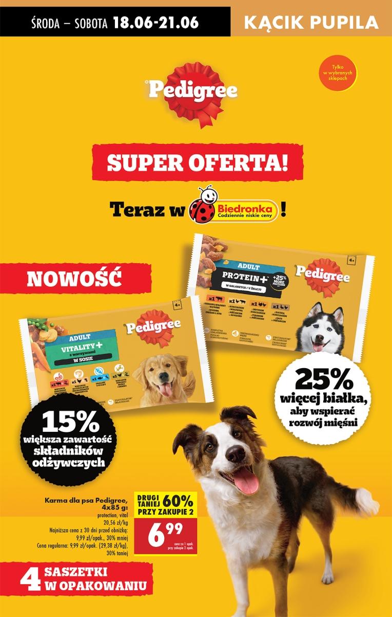 Gazetka promocyjna Biedronka do 25/06/2025 str.69
