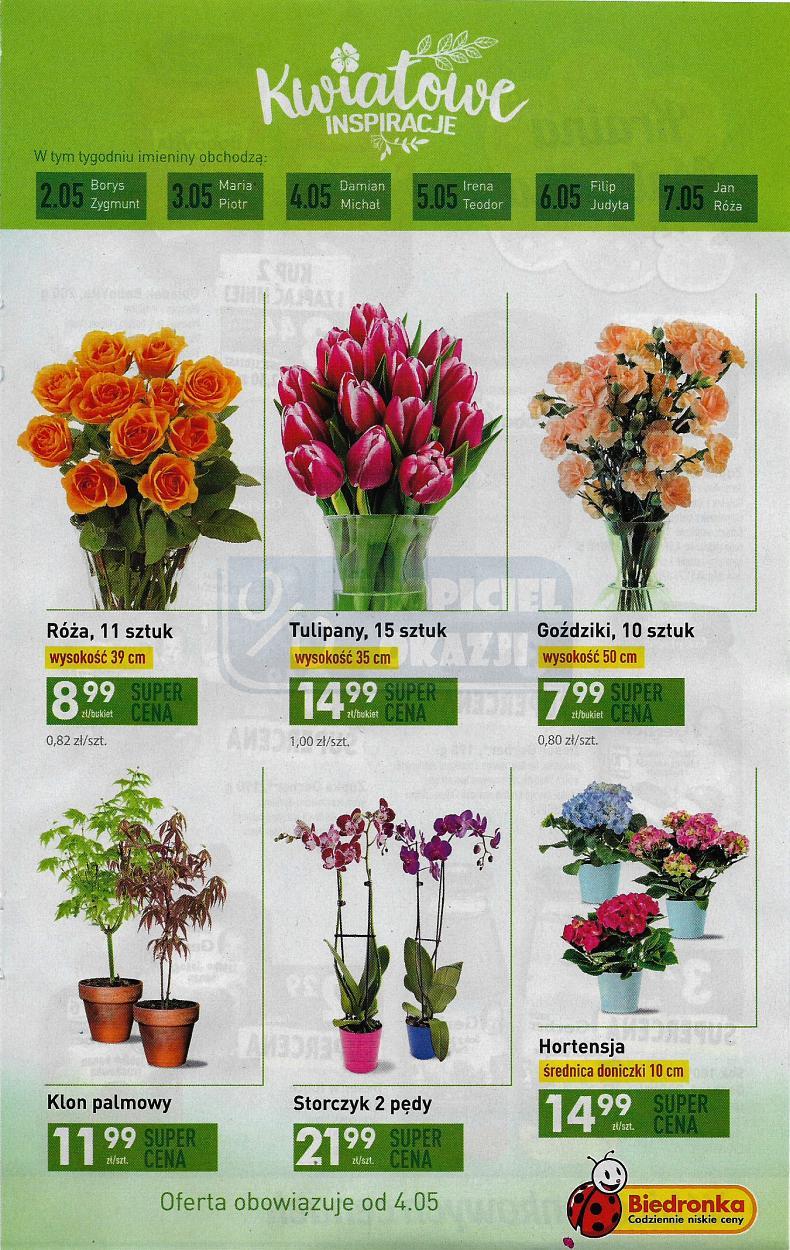 Gazetka promocyjna Biedronka do 10/05/2017 str.35
