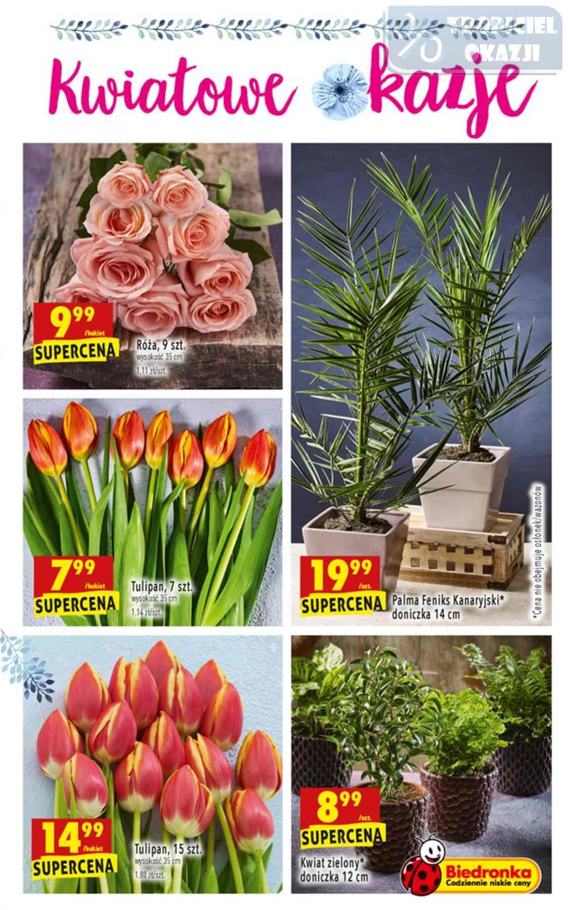 Gazetka promocyjna Biedronka do 06/02/2019 str.63