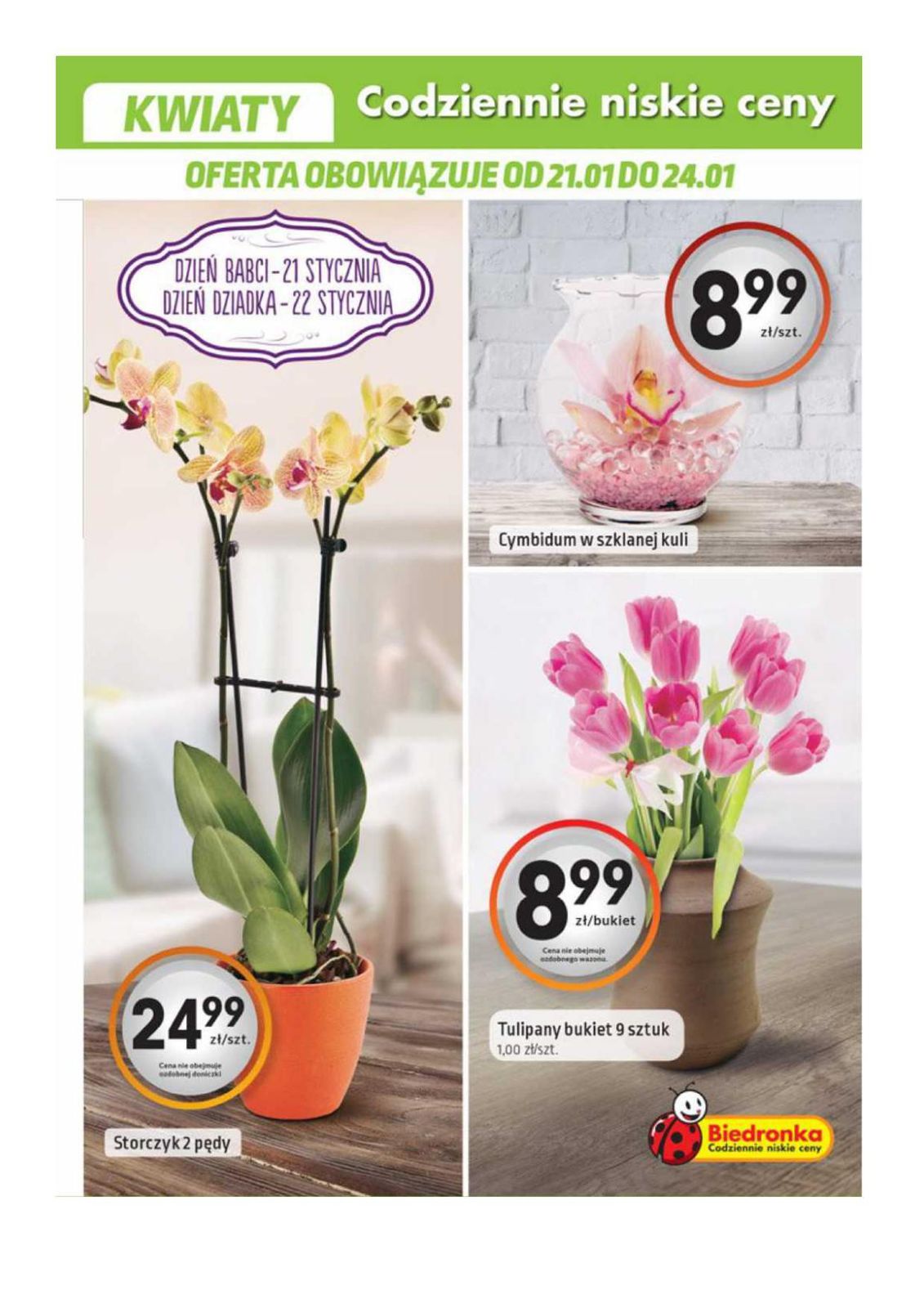 Gazetka promocyjna Biedronka do 27/01/2016 str.23