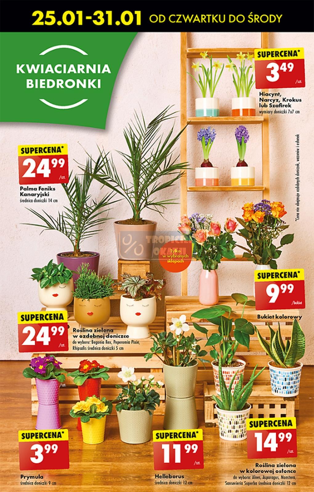 Gazetka promocyjna Biedronka do 31/01/2024 str.26