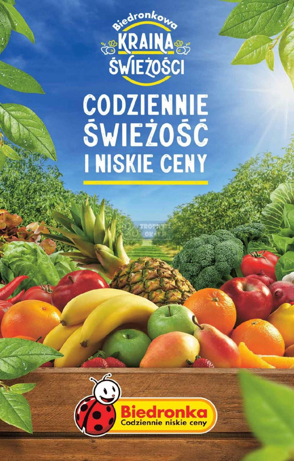 Gazetka promocyjna Biedronka do 23/09/2023 str.49